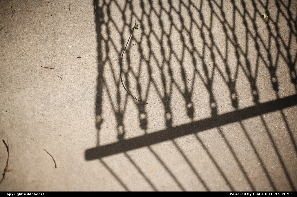 In the shadow of the hammock.