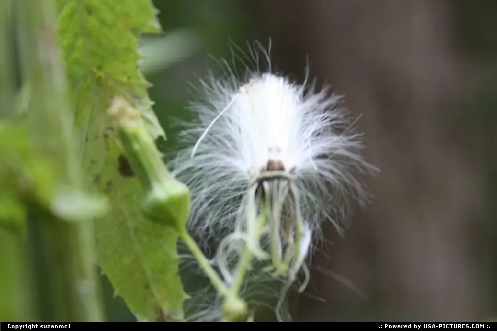 When I saw this I was somewhat startled by its appearance.