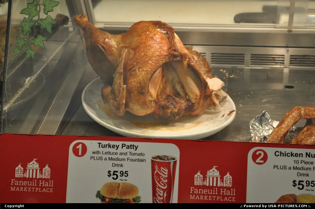 Oh boy what a turkey !!