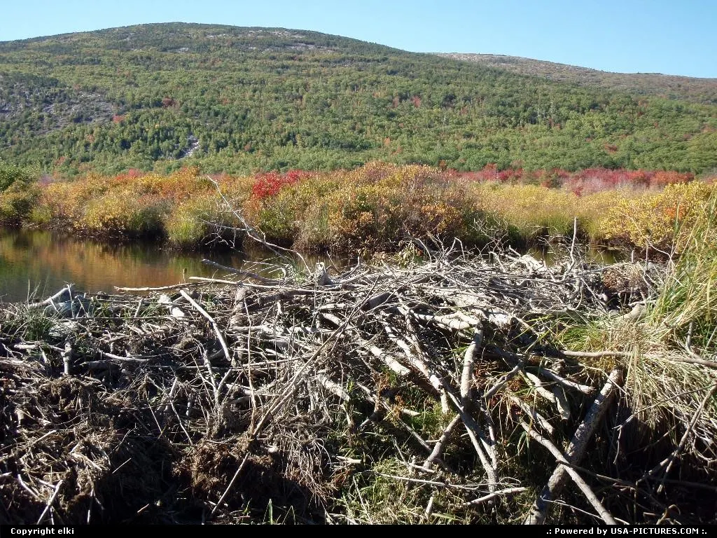 Acadia national park