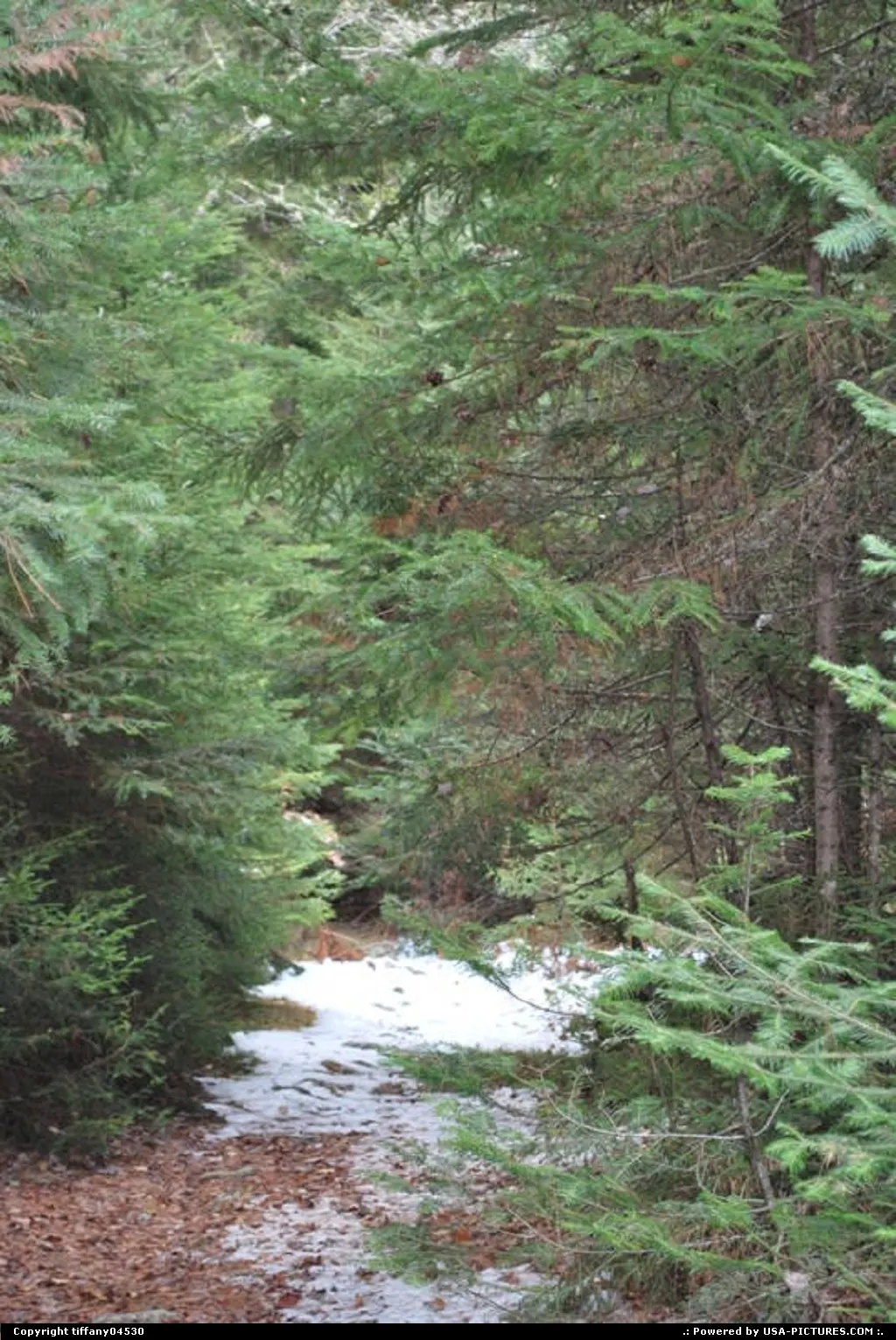 West Forks Maine