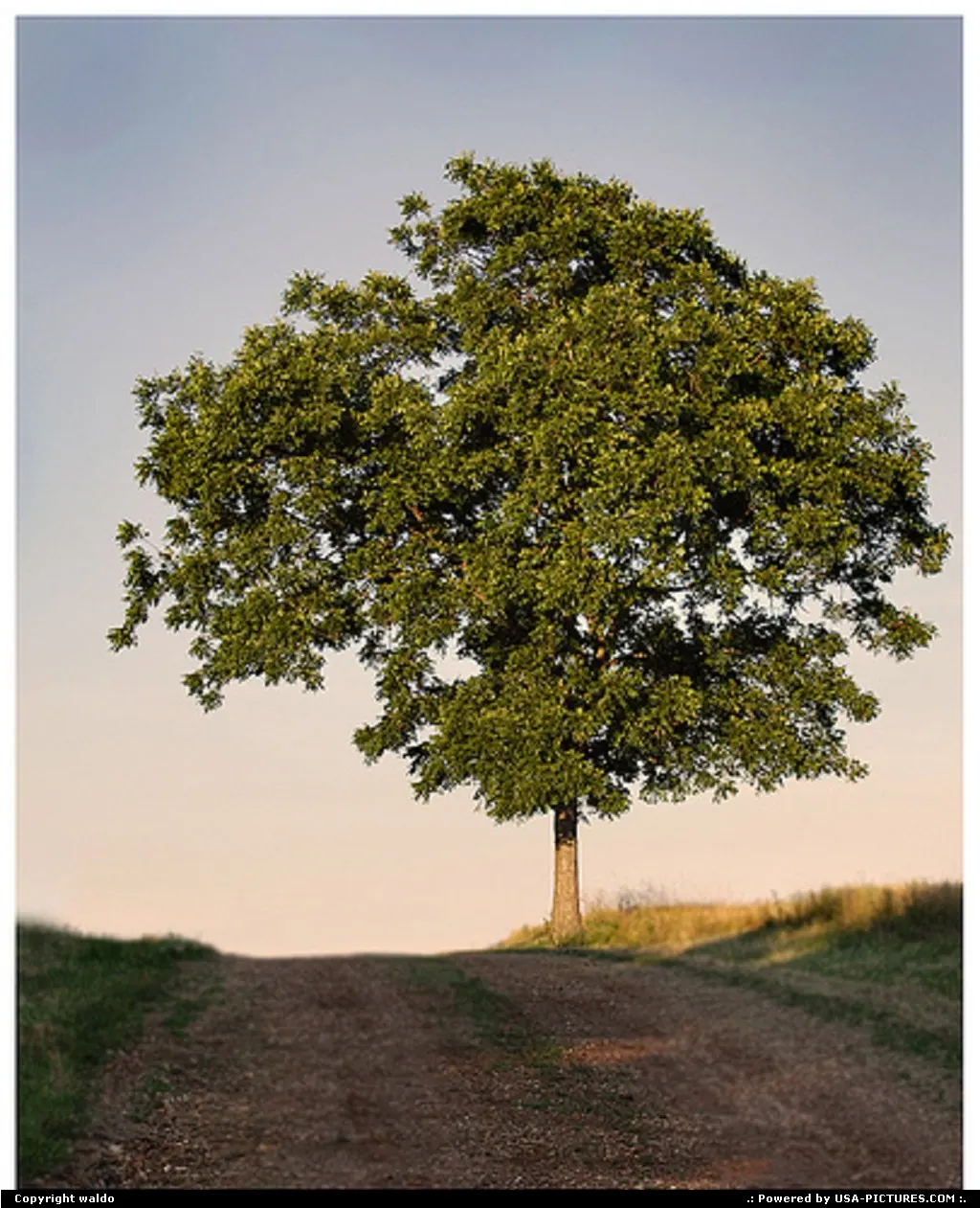 In the country, Missouri
