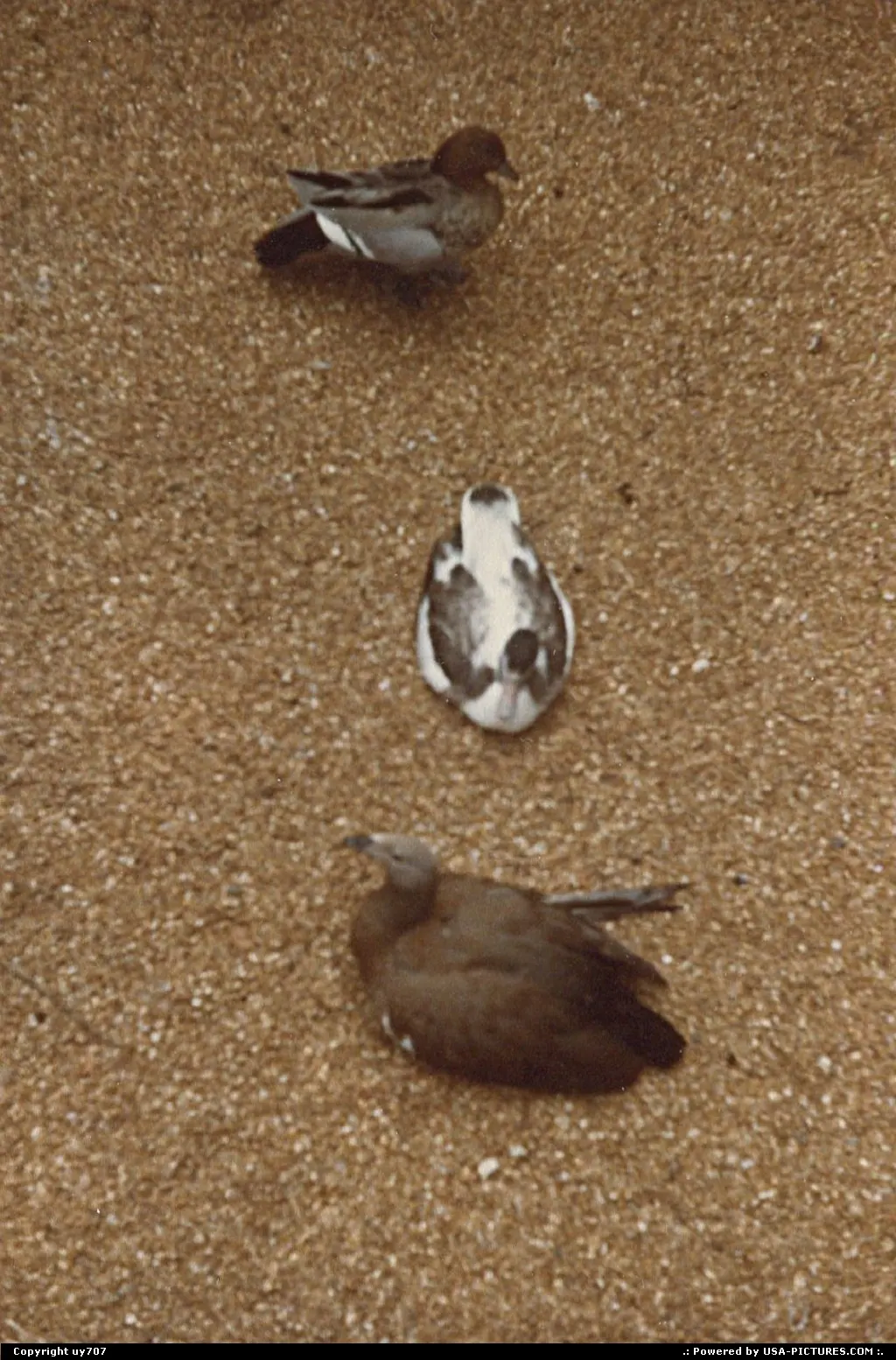 An inseparable trio !