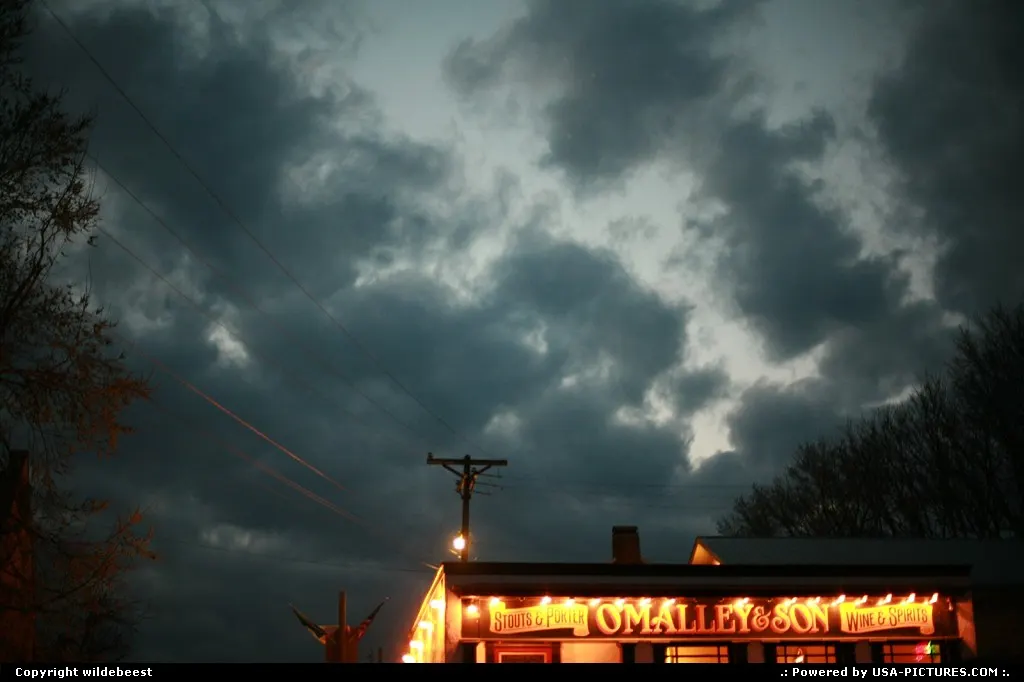 The Bar.