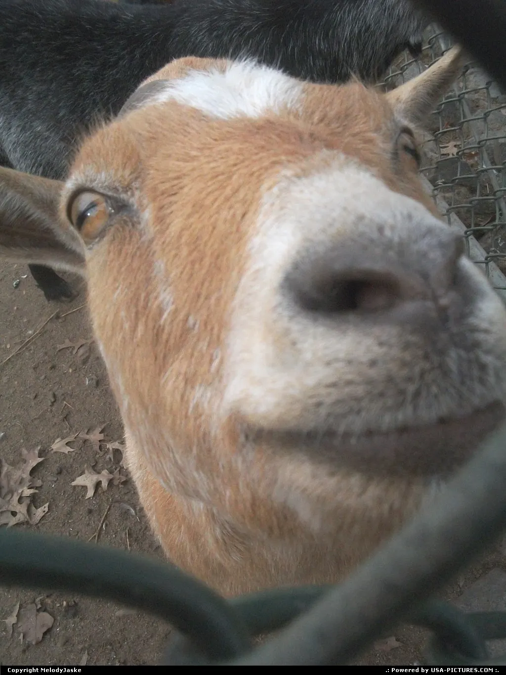 Up Close and Personal