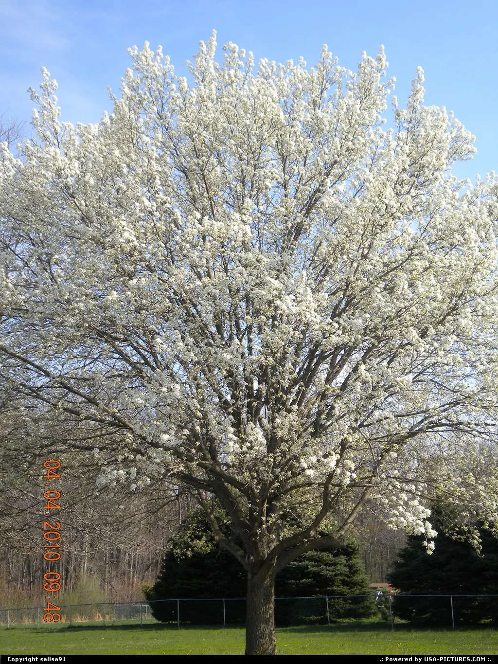 Lawrenceville New-Jersey