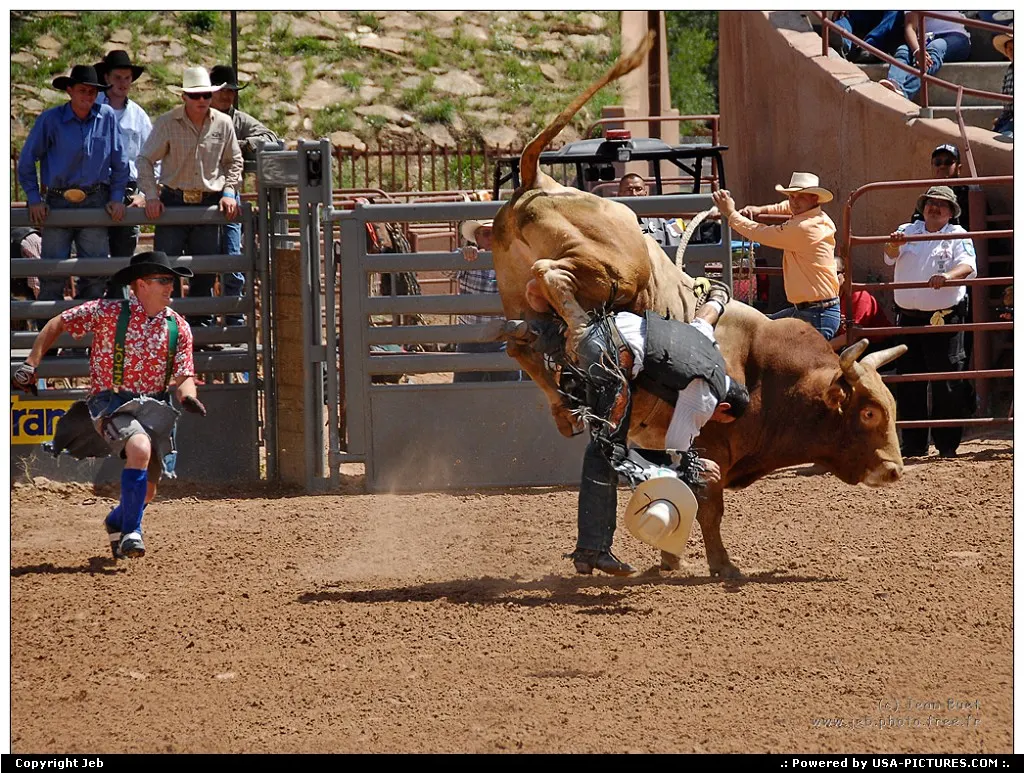 Rodeo