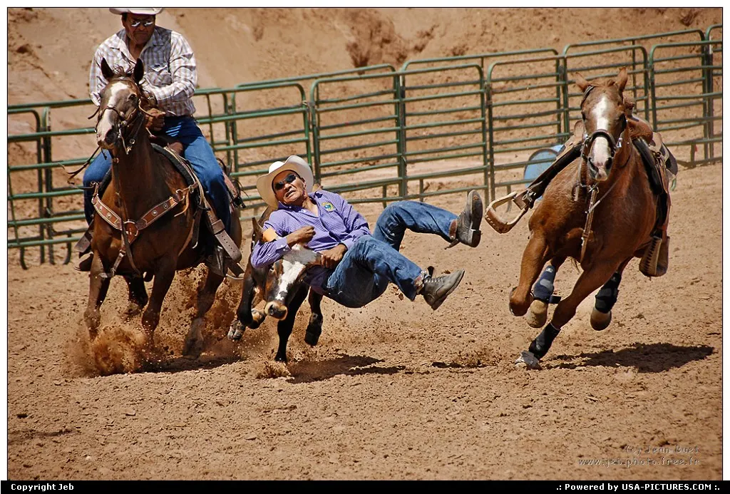 Rodeo