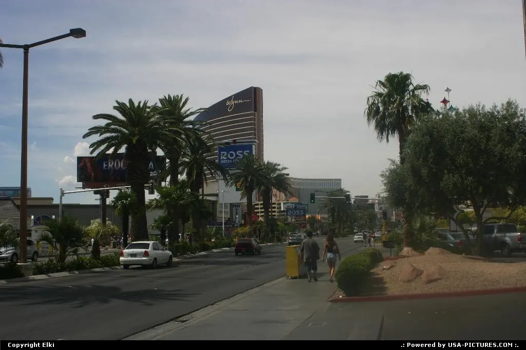 The Wynn