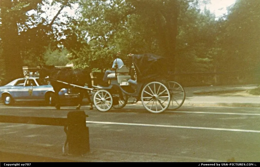 Gotcha ! A carriage driver who managed to entrap some tourists