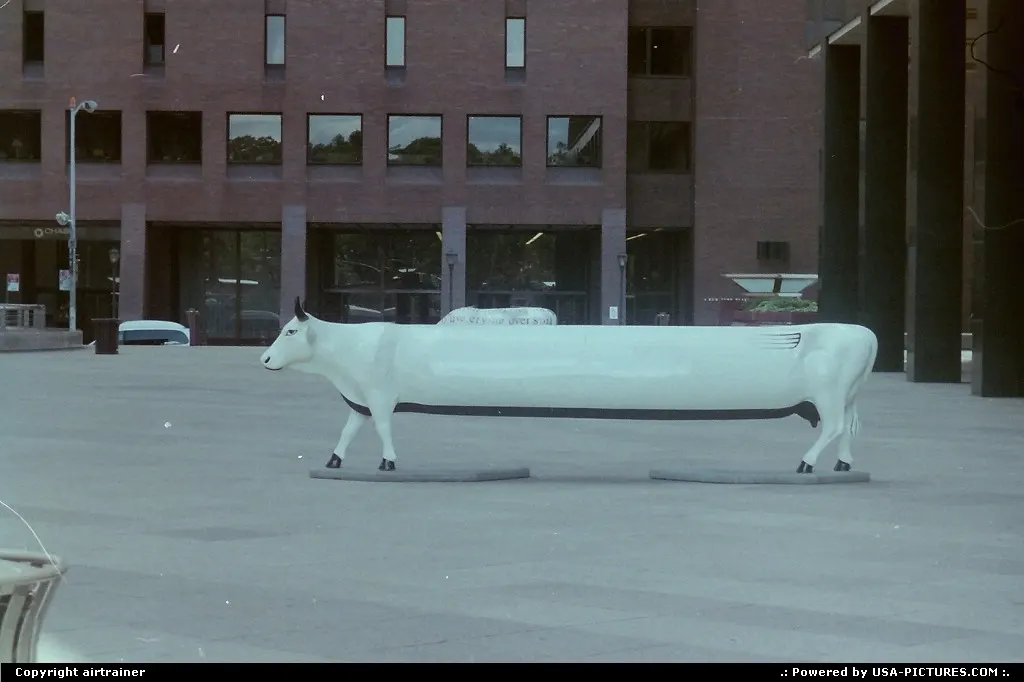 Limousine cow... Only in NYC !