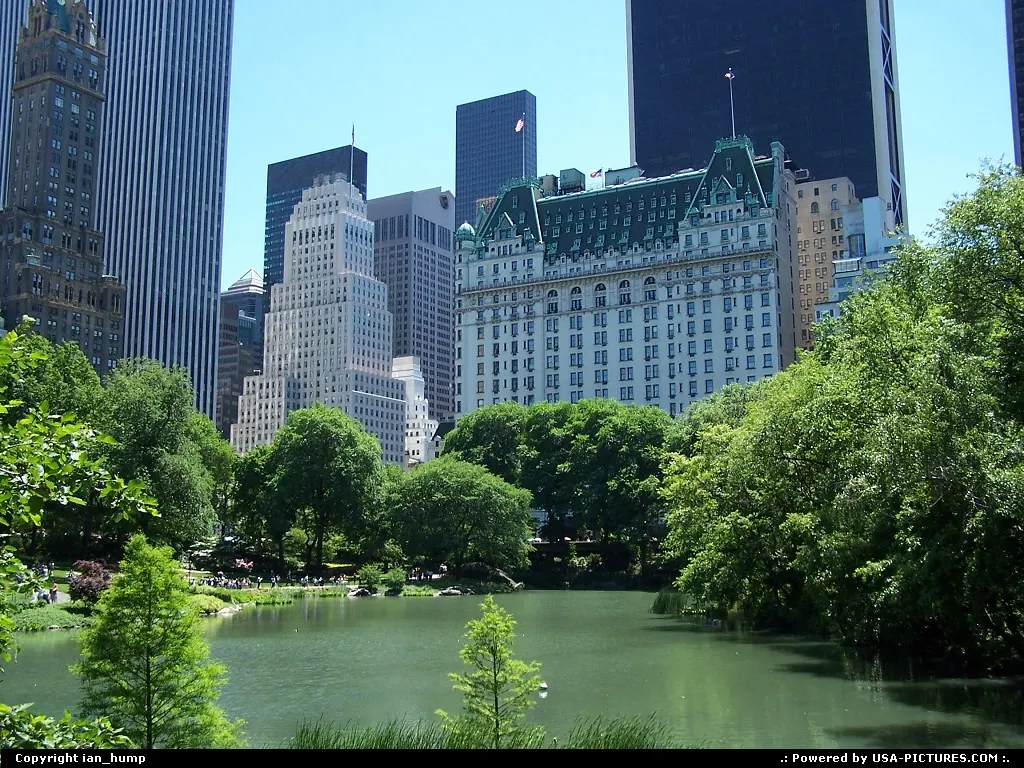 New York New-york