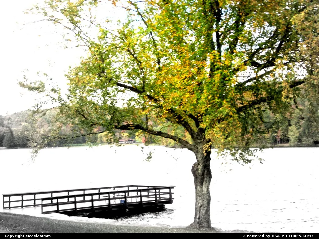 Laurens New-york