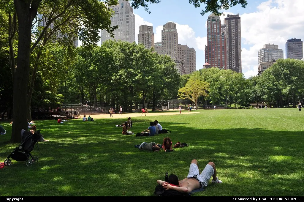 Time to relax in Central Park ...