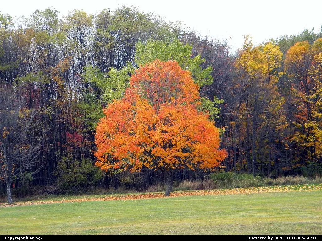 Stands out from it's neighbors!