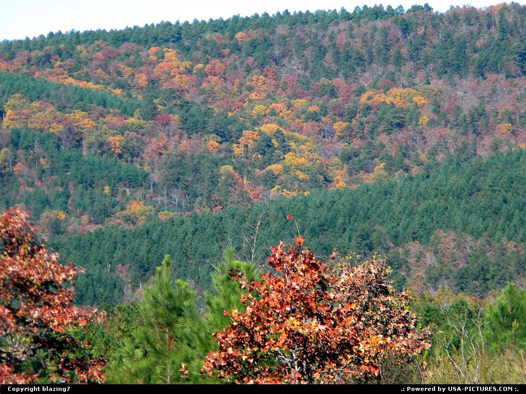 Autumn Glory in Southeastern Oklahoma