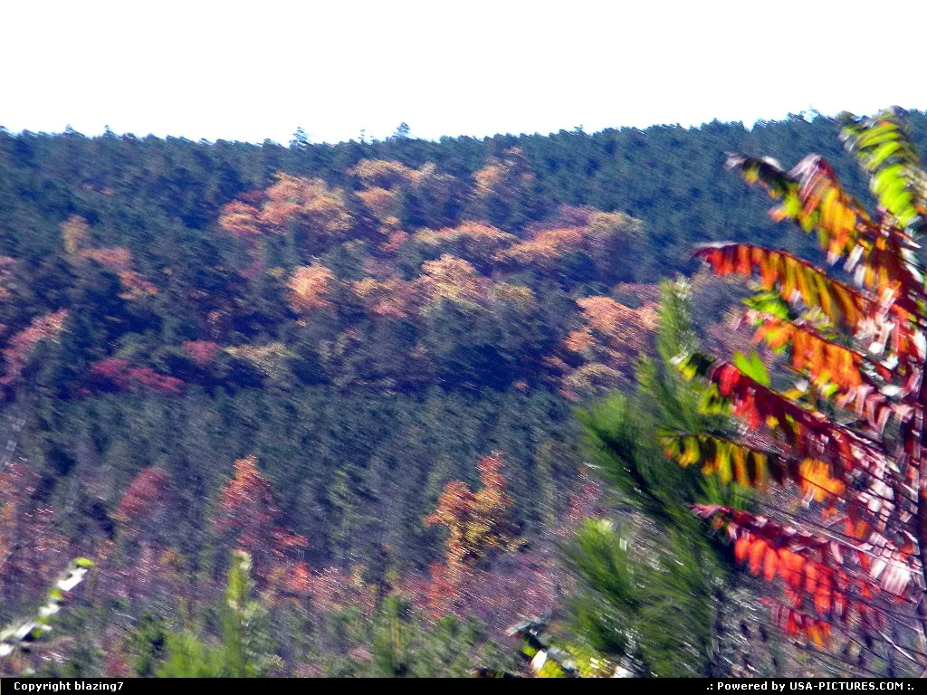 Fall Foliage in the Kiamichi Mountains of Southeast Oklahoma