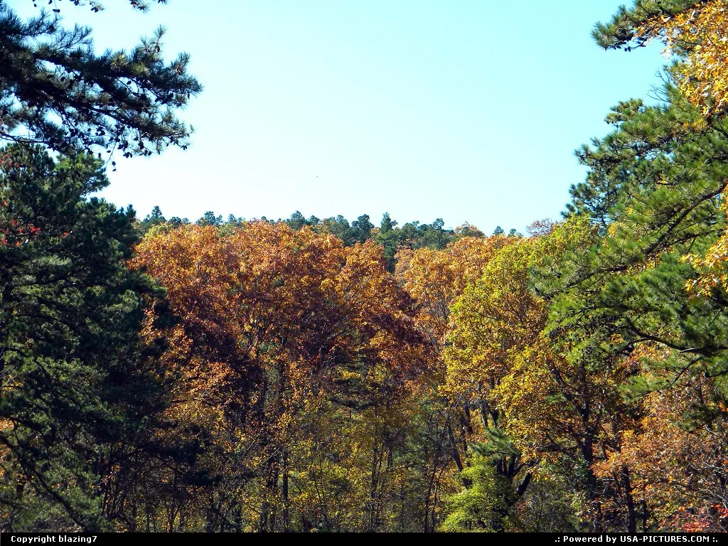 Surrounded by Autumn Glory in Southeast Oklahoma