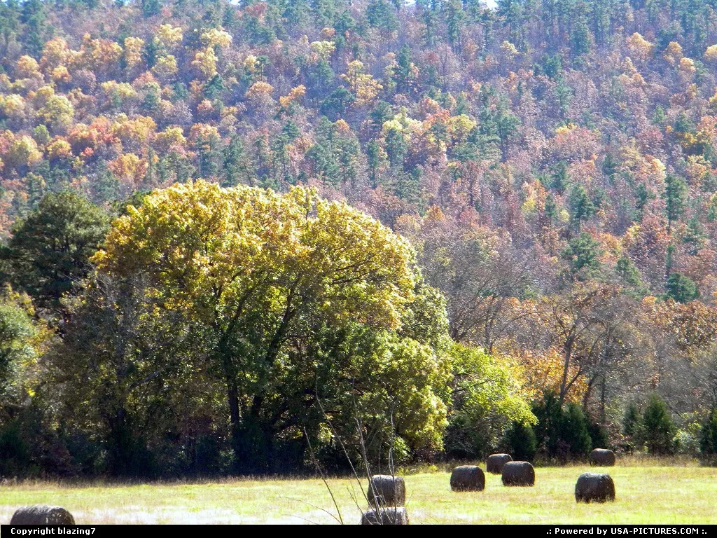 Freshly mown hay baled in a field with Autumn Glory in the background, near Honobia, OK...