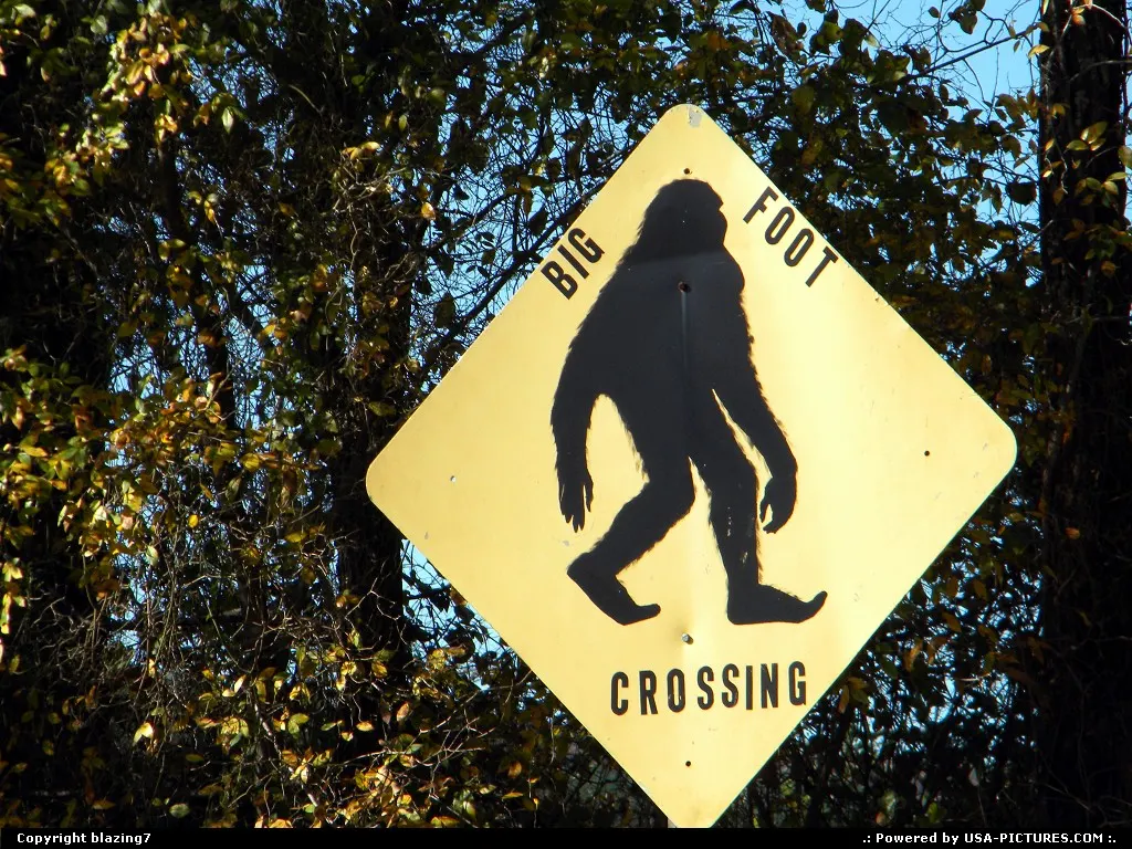 Don't believe in BigFoot???