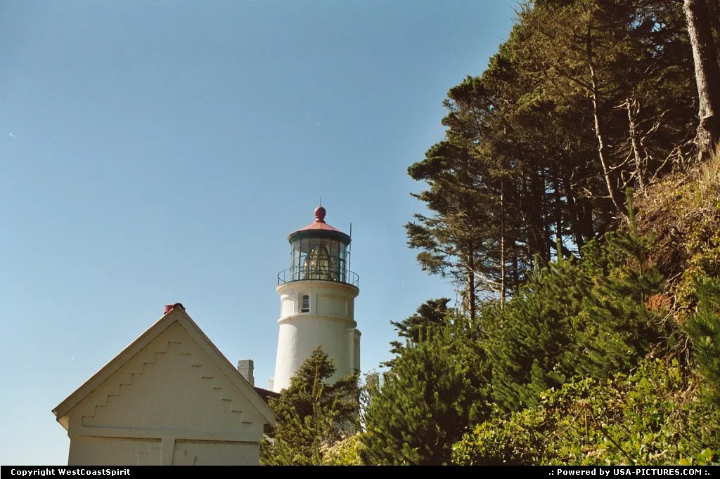The Heceta lighthouse in the background. Lighthouse's keepers house, now a museum