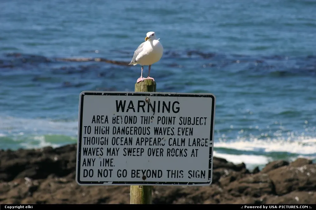 Oregon coast