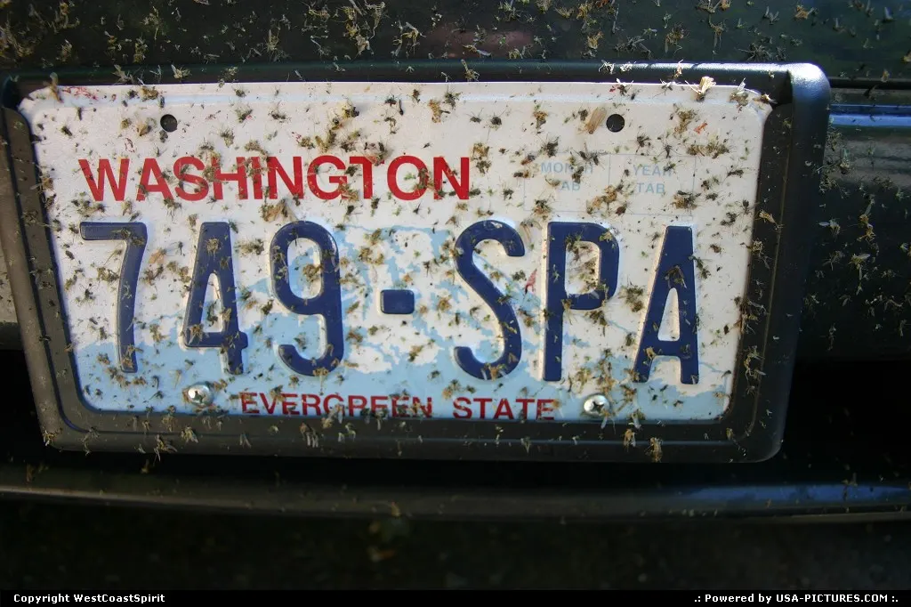 USA Pictures: road tripping the country since ages...