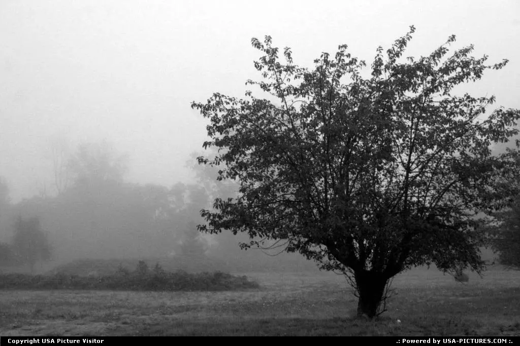 Misty morning in Grants Pass Oregon