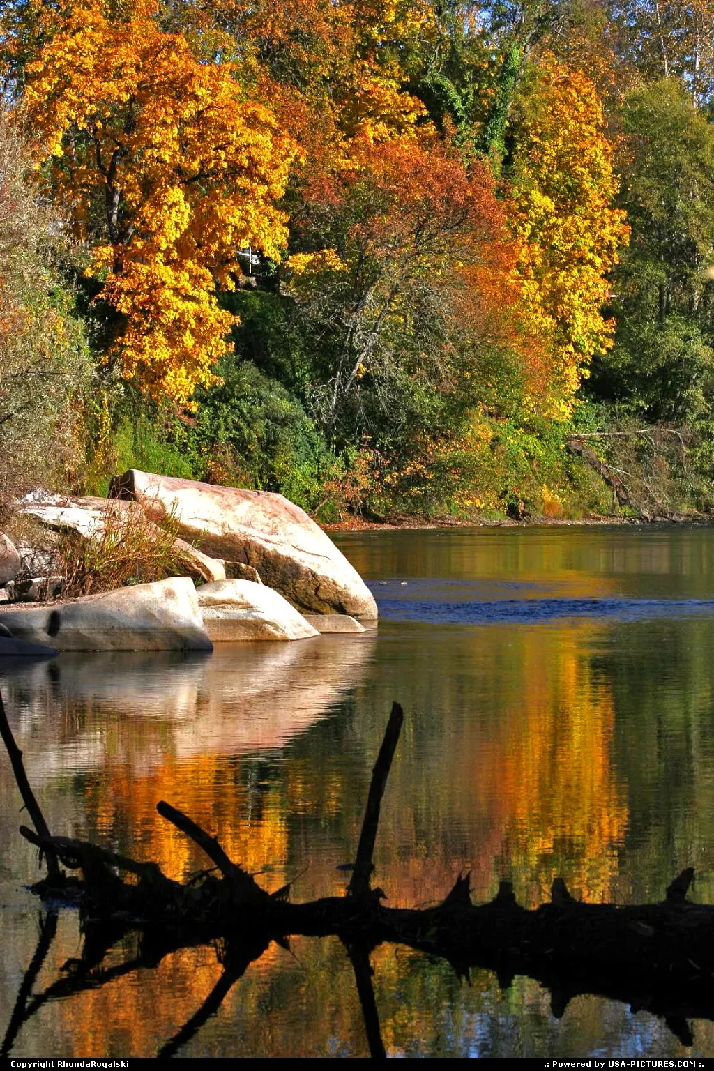 Amazing colorful fall colors reflected on the surface of the Rogue River in Grants Pass...