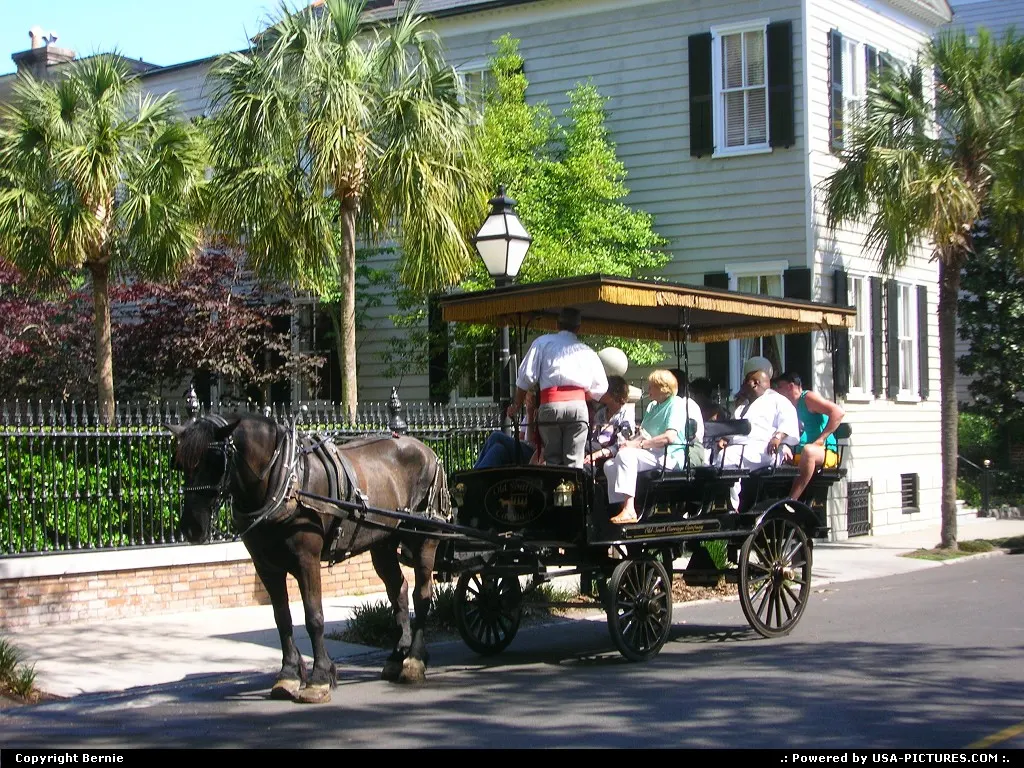 Maybe the best way for visiting Charleston !