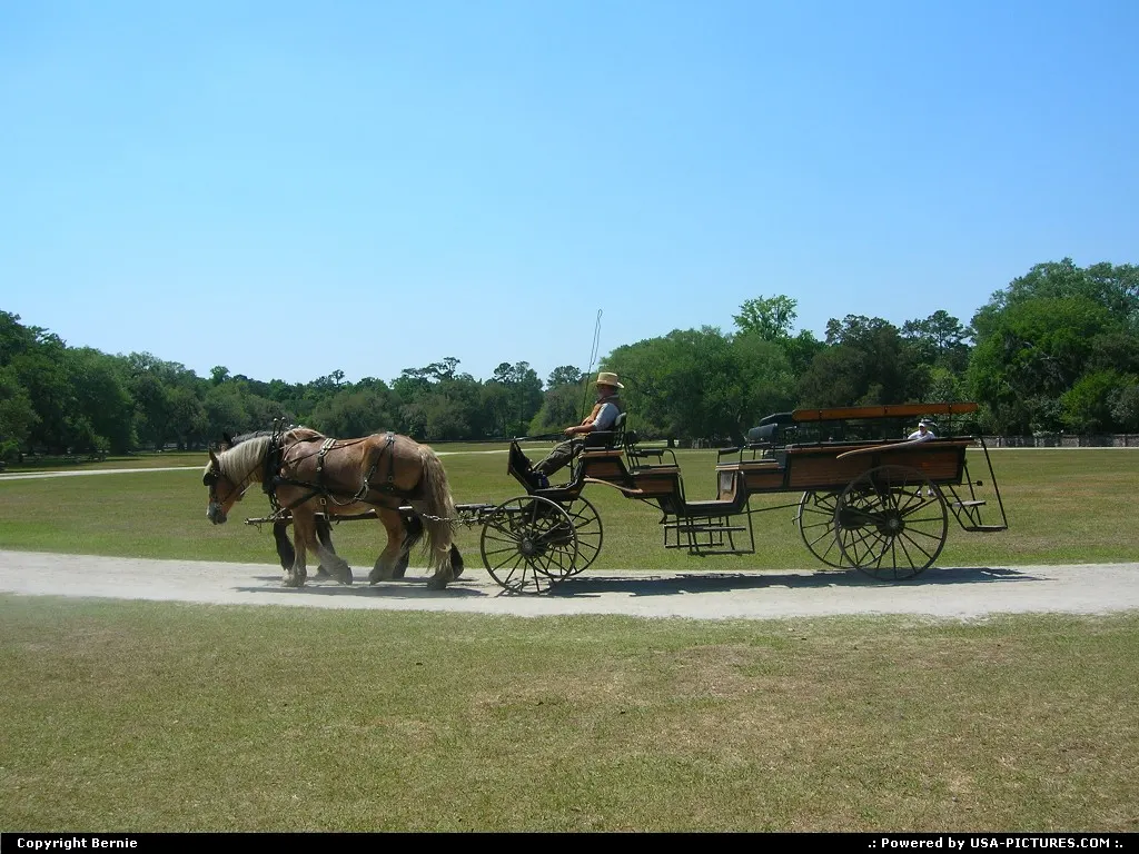 MIDDLETON PLACE