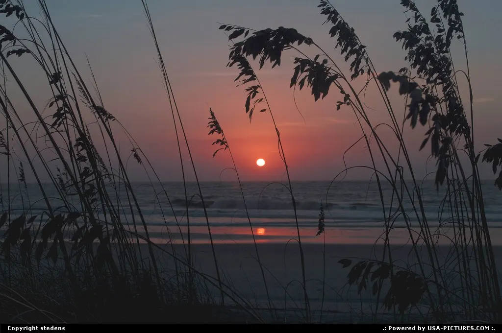 This photo was taken early one morning behind the seaoats at Hunting Island State Park