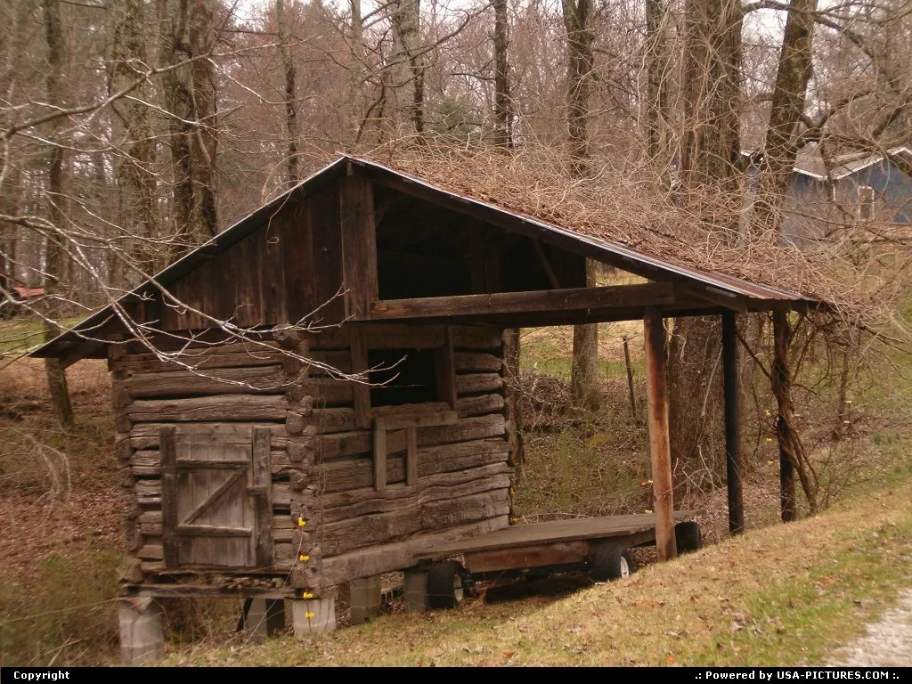 You see alot of these in east Tennessee