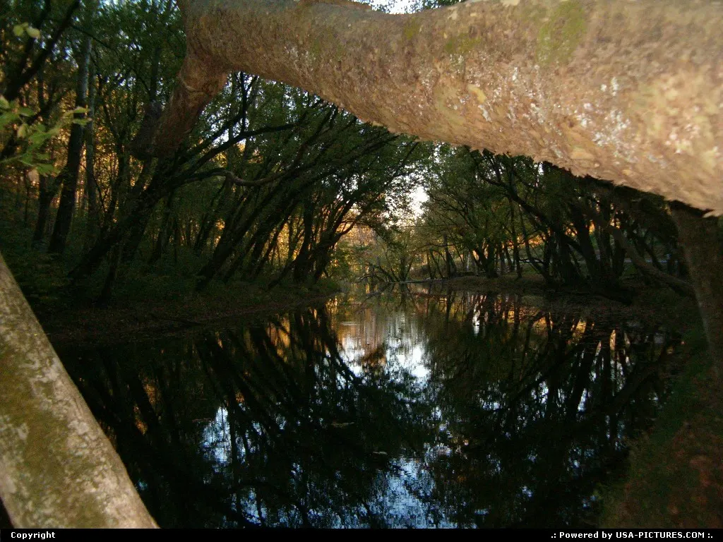 Amis Mill