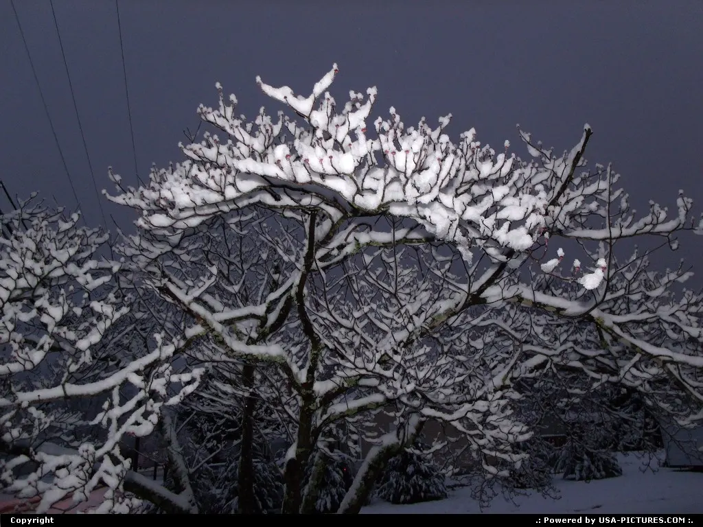 Winter in Knoxville,TN