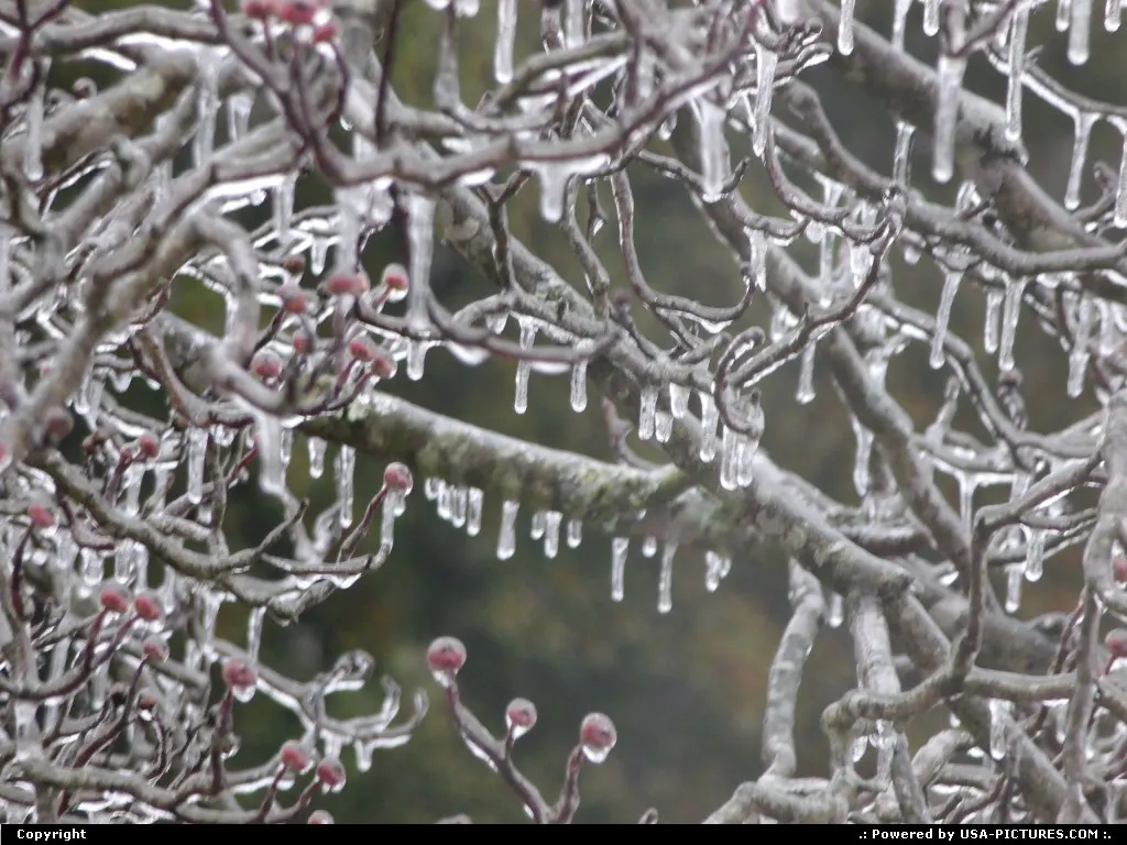 Winter in Knoxville, TN.