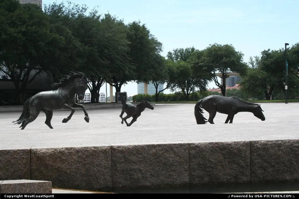The Mustangs of Las Colinas. Irving, Texas. Such a nice and huge bronze sculture!