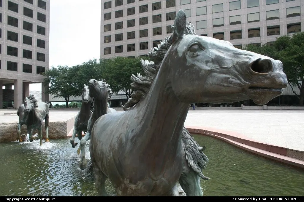 The Mustangs of Las Colinas. Irving, Texas. Such a nice and huge bronze sculture!