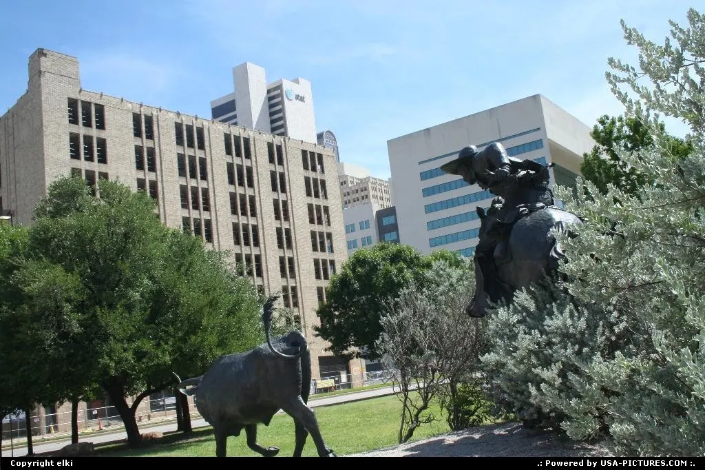 Cowboy take a look to his bull's. Sculture dallas