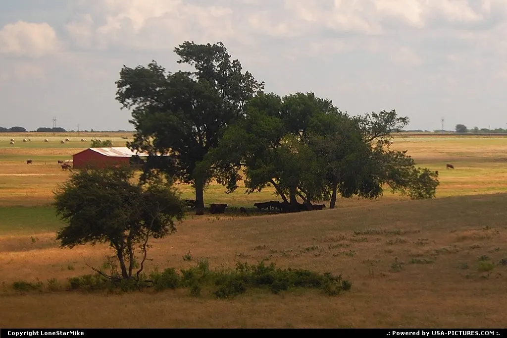 Rural Texas taken from Amtrak's Texas Eagle between Austin and Dallas