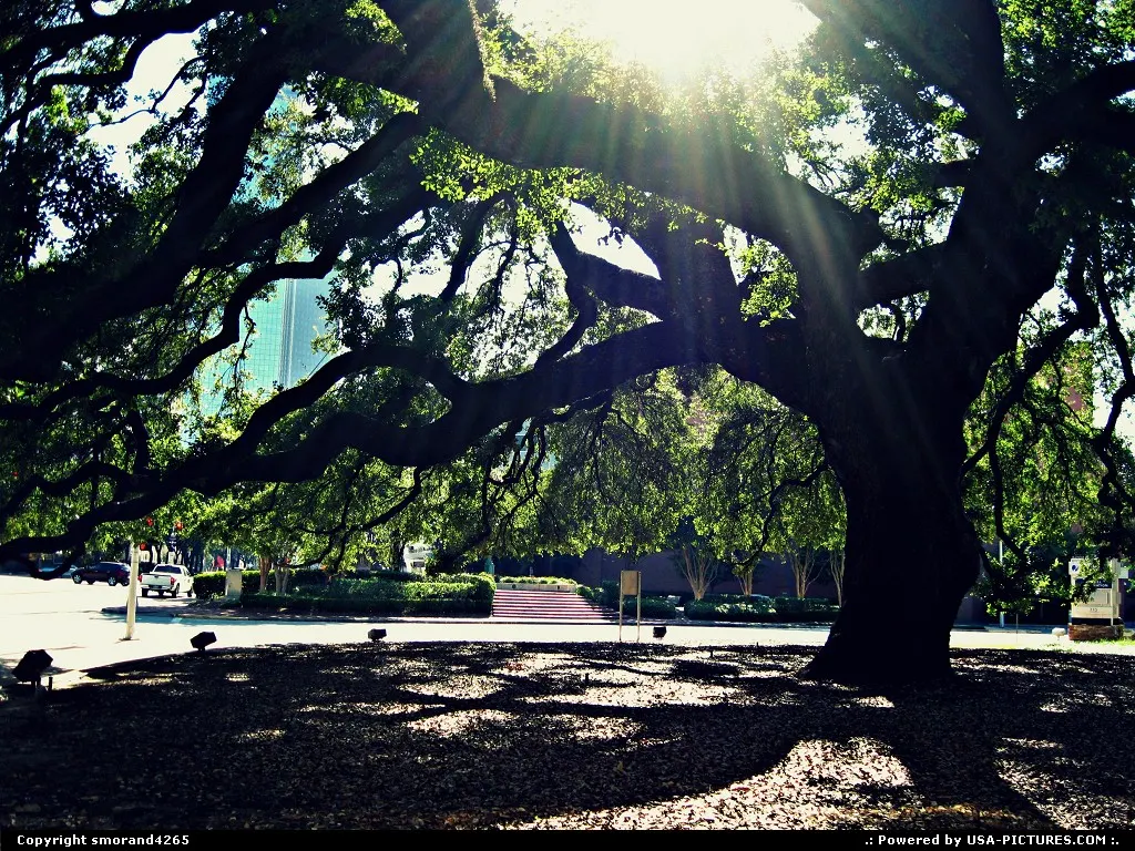 Houston Texas