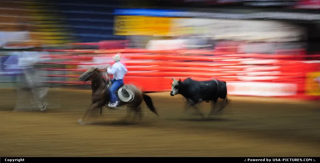 Texas rodeo, you better run your horse as a real cowboys to avoid being kicked by this...