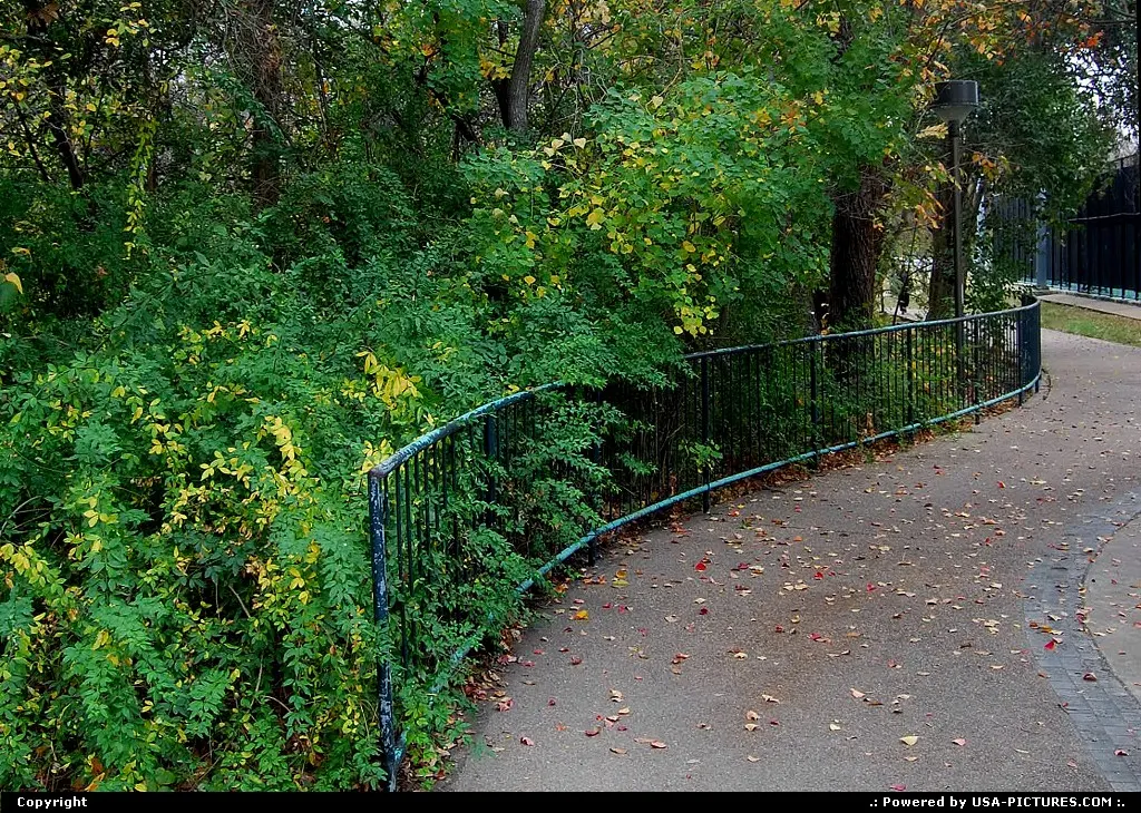 Fall foliage in Austin, TX
