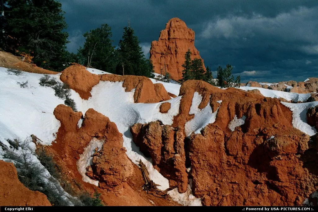 Bryce, under the snow