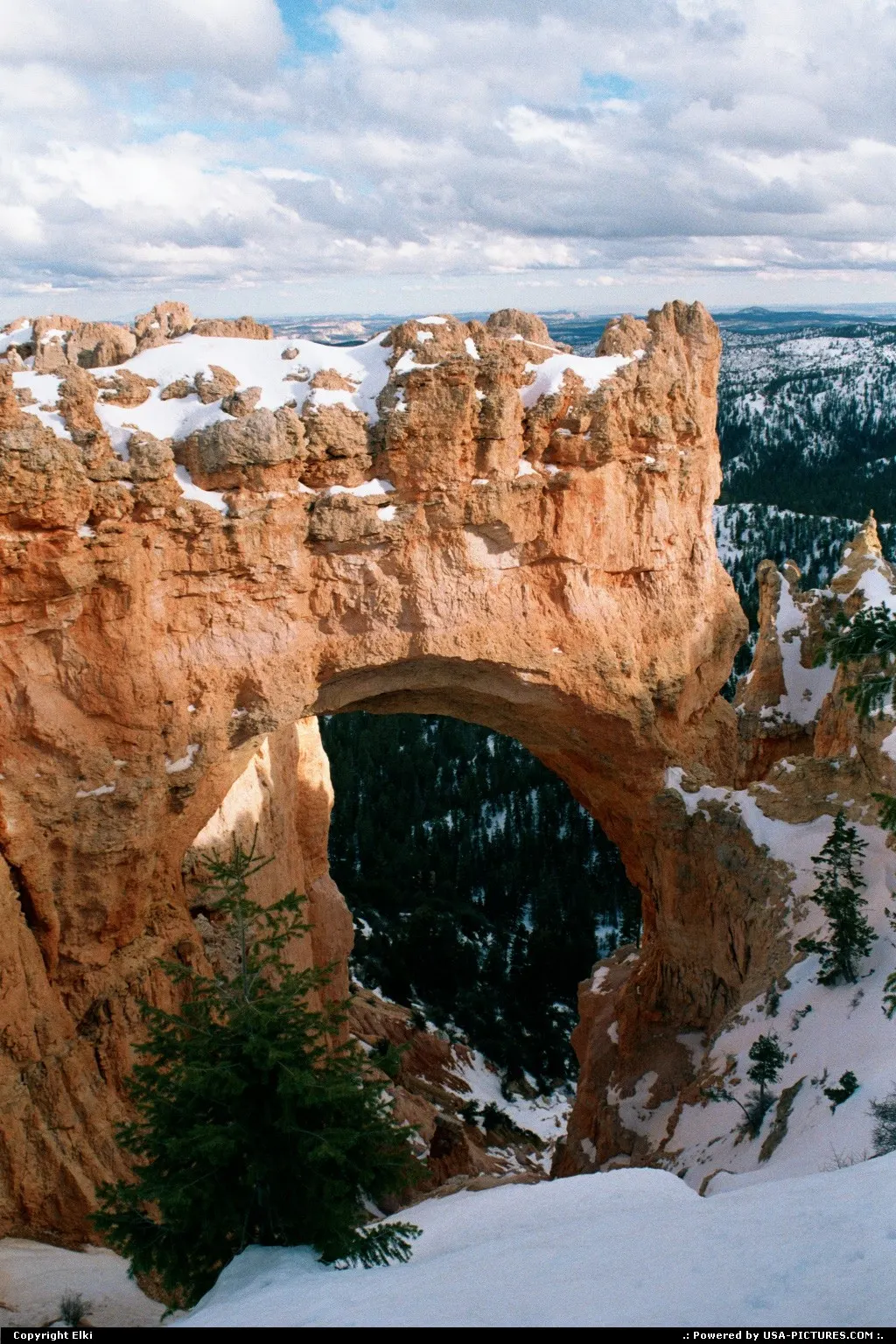Bryce, under the snow