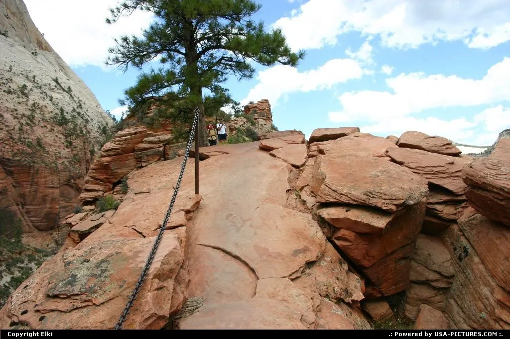 Trail in the park