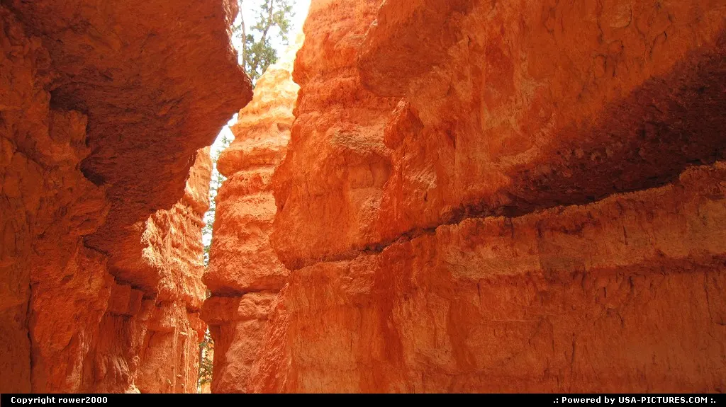 Descending into Bryce Canyon on Navajo Trail.