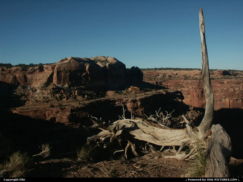 Into the wild