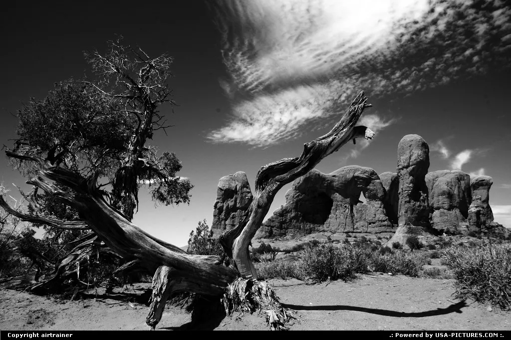 An attempt to black and white, feel free to tell what you think ;-)