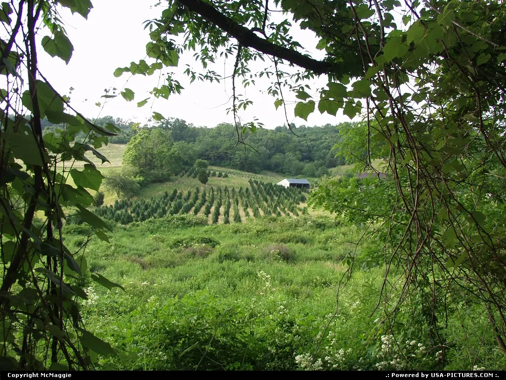 Near Montebello, Virginia, off the Blue Ridge Parkway, Appalachian Mountains.